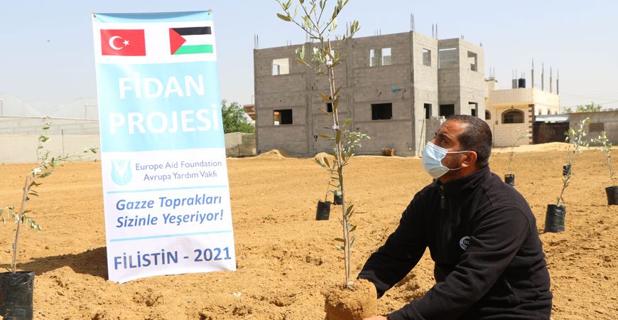 Filistin Fidan Bağış Projesi 2021